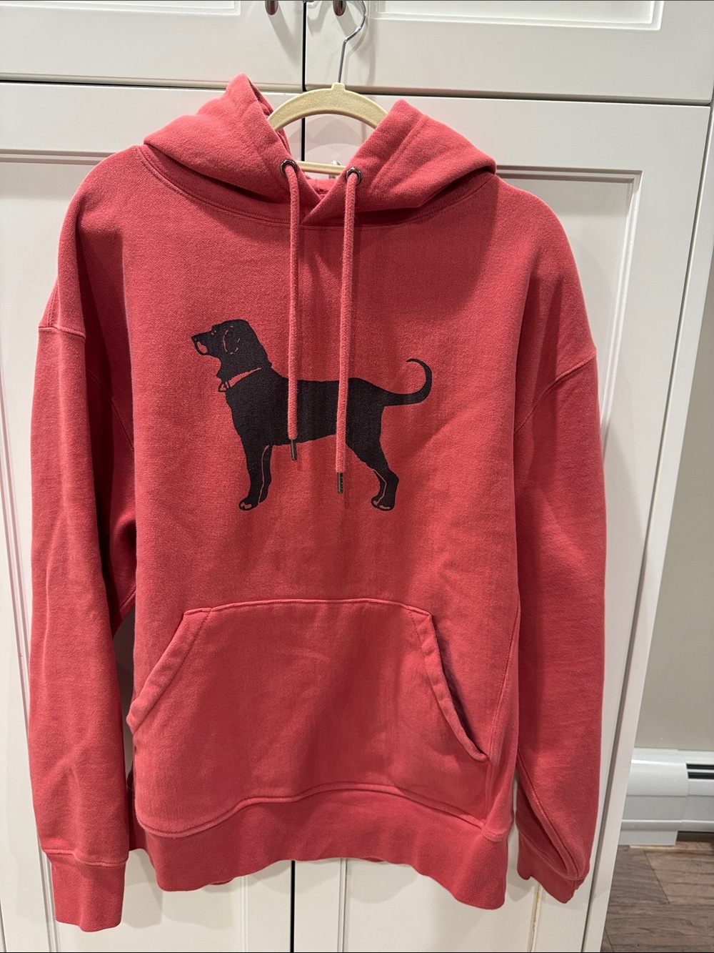 The Black Dog Coral Hoodie with Black Dog Graphic